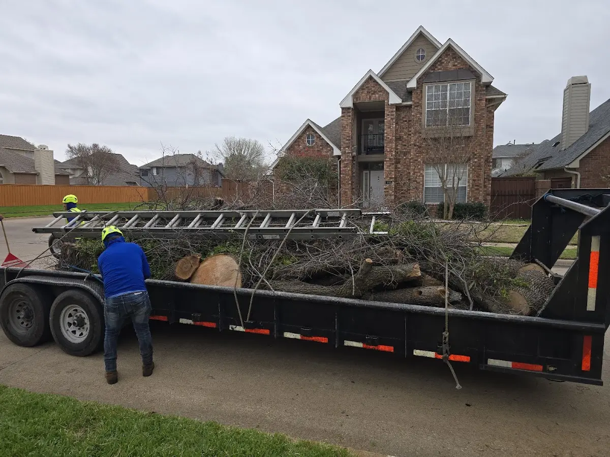 Expert Tree Removal with proper safety equipment in Karthaus